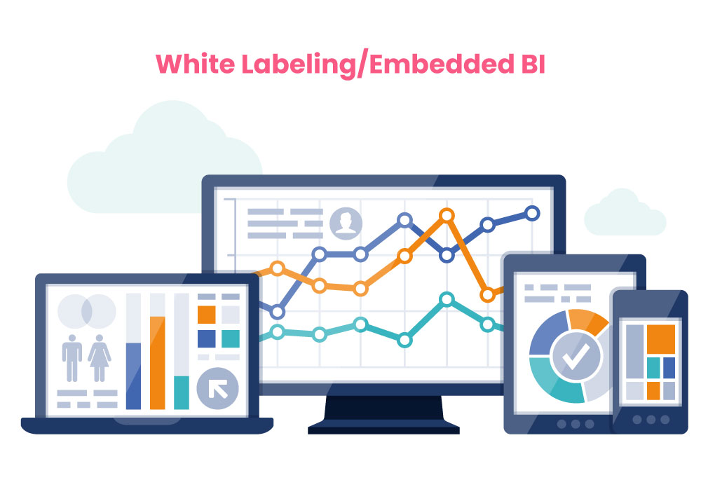 White-Labeling-Embedded-BI