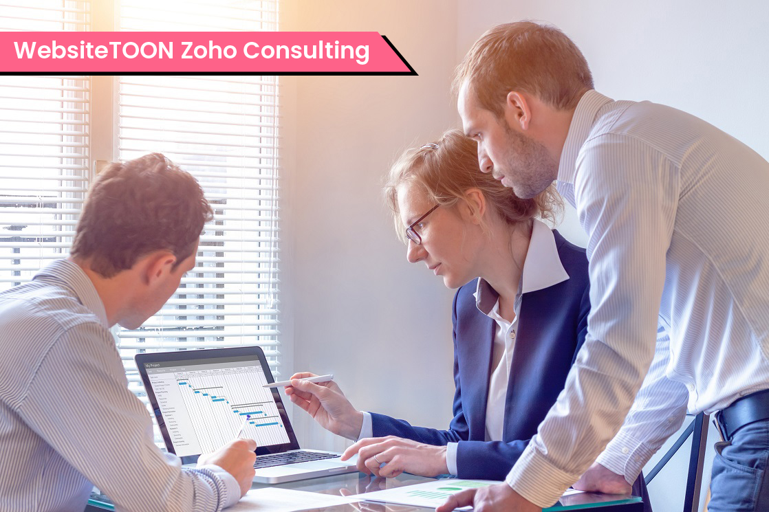 WebsiteTOON Zoho Consulting